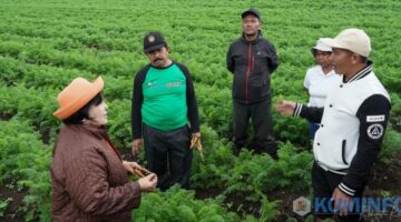 Bupati Karo himbau Petani Wortel di Kabupaten Karo Agar Lebih Menggunakan Bibit Produksi sendiri